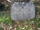 image of grave number 629501